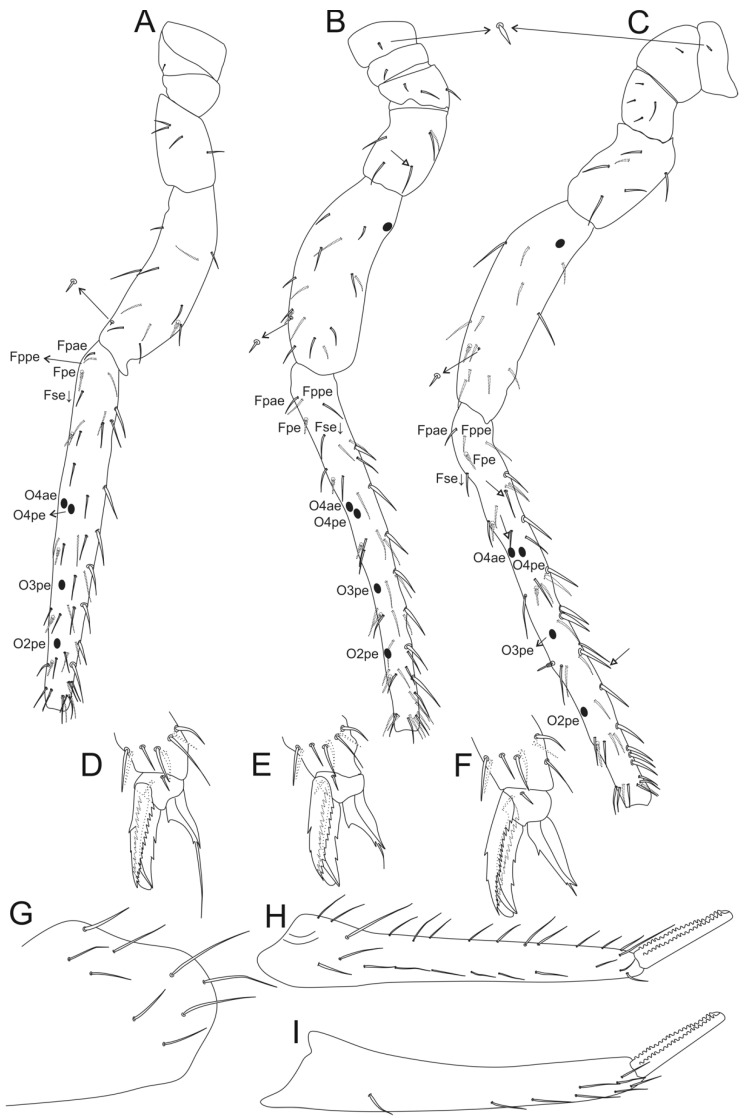 Figure 21