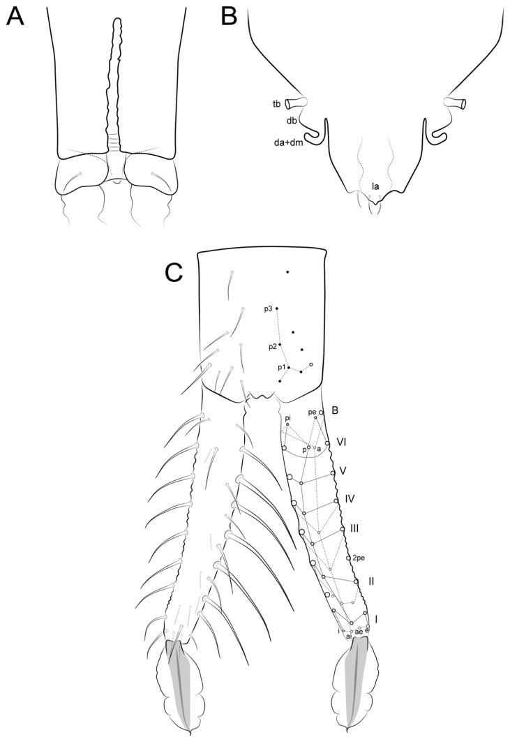 Figure 17