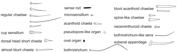 Figure 18