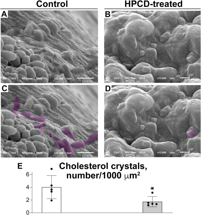 Fig. 3