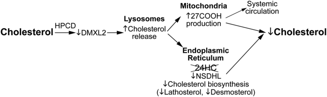 Fig. 7