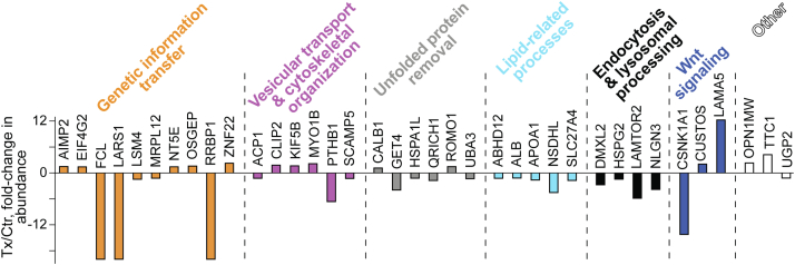 Fig. 6