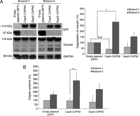 FIGURE 11.