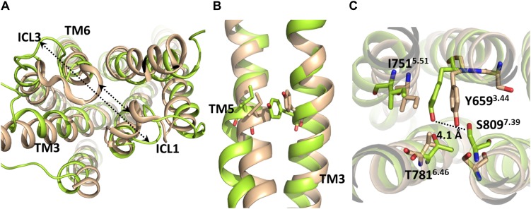 FIGURE 4