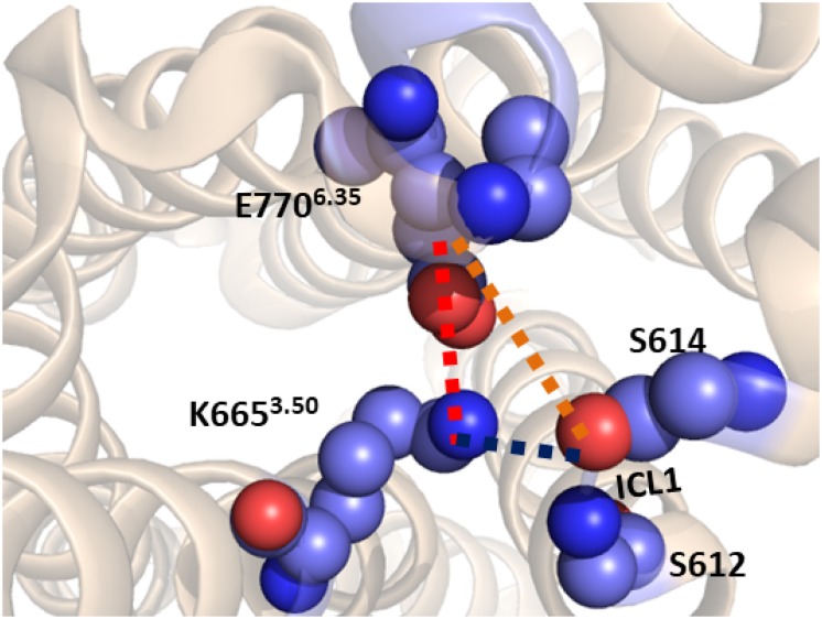 FIGURE 2