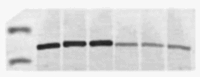 figs27