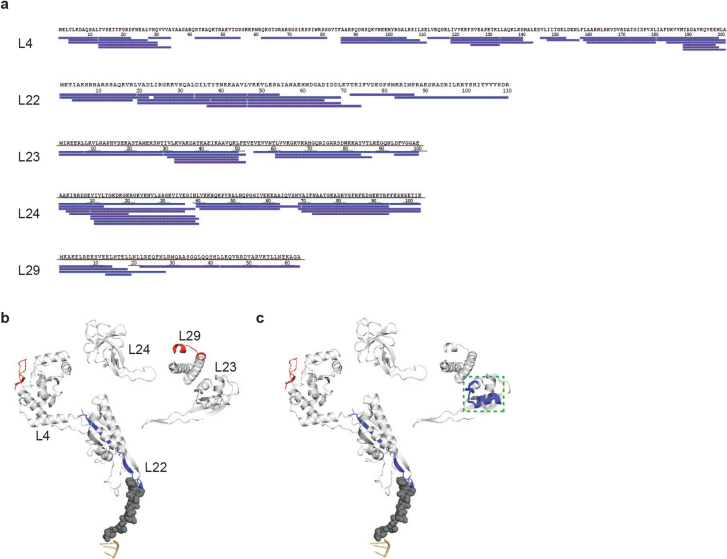 Extended Data Fig. 9