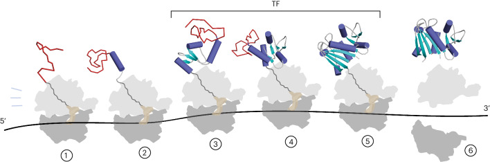 Fig. 7