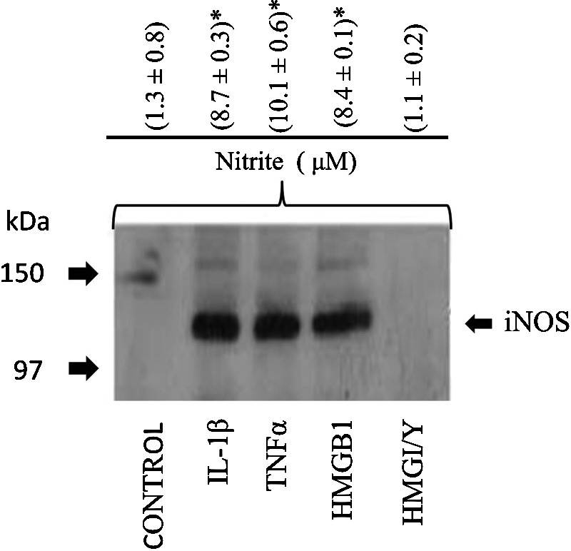 FIG. 7.