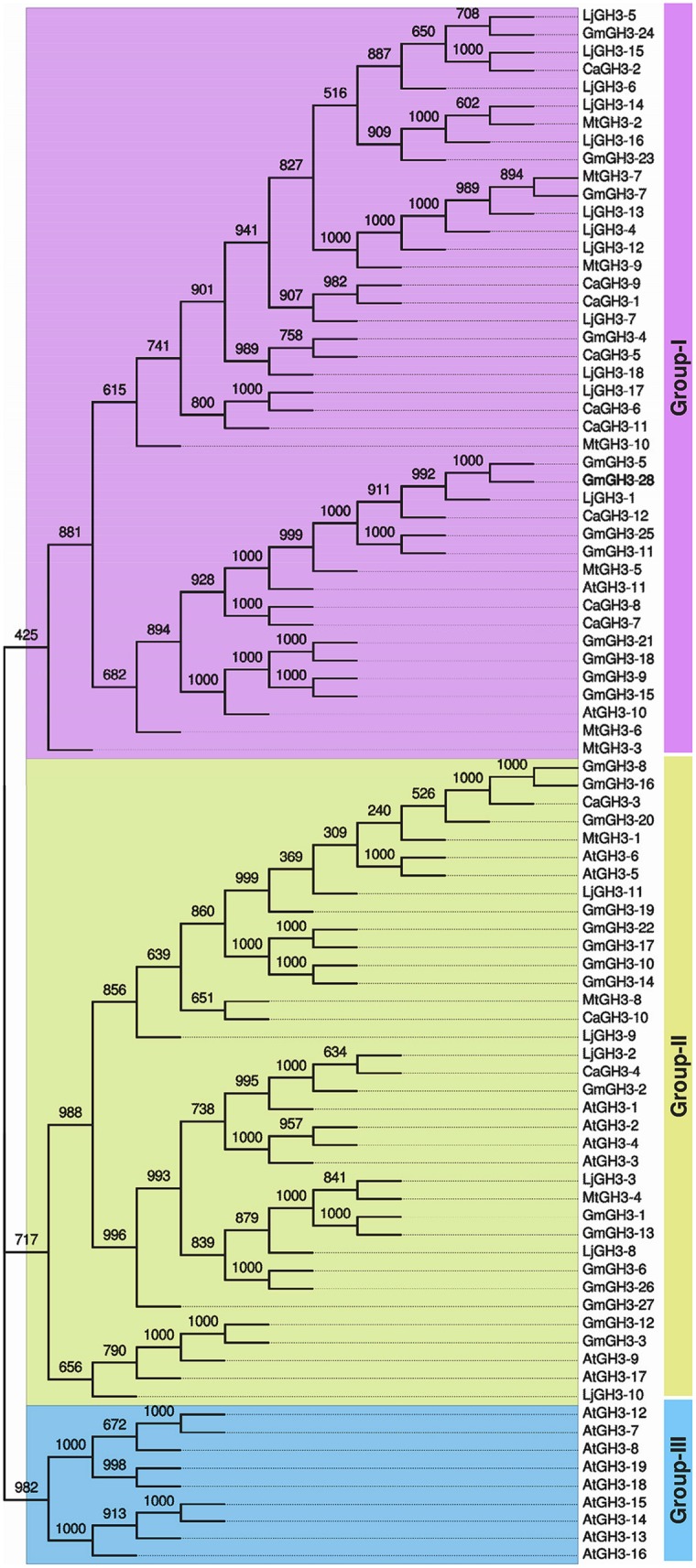 FIGURE 2