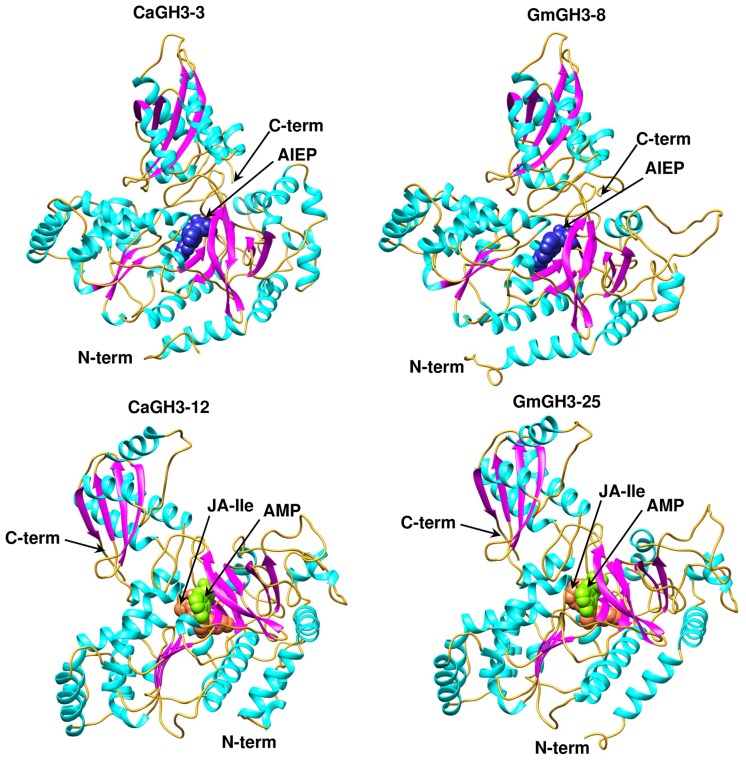 FIGURE 6