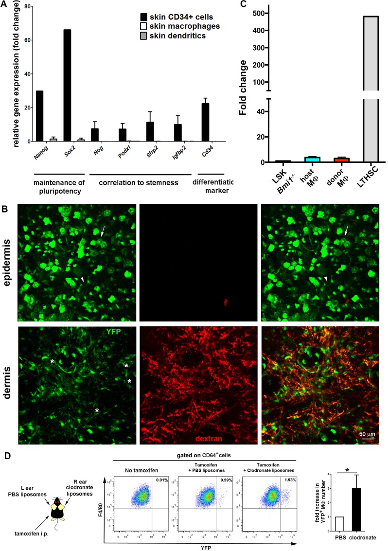 Figure 5—figure supplement 2.