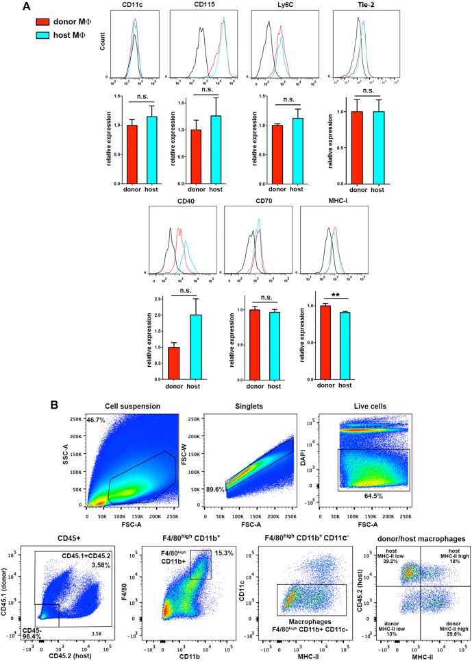 Figure 6—figure supplement 1.