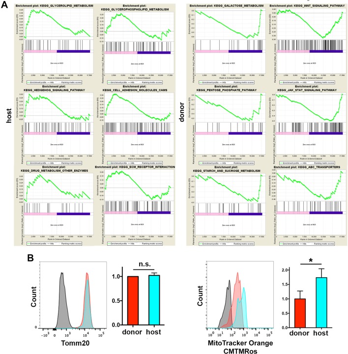 Figure 6—figure supplement 2.