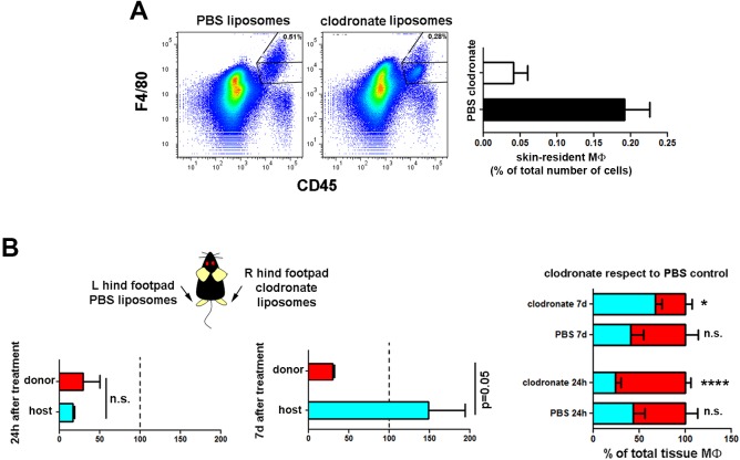 Figure 5—figure supplement 1.