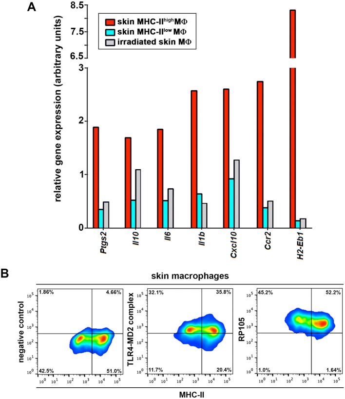 Figure 7—figure supplement 1.