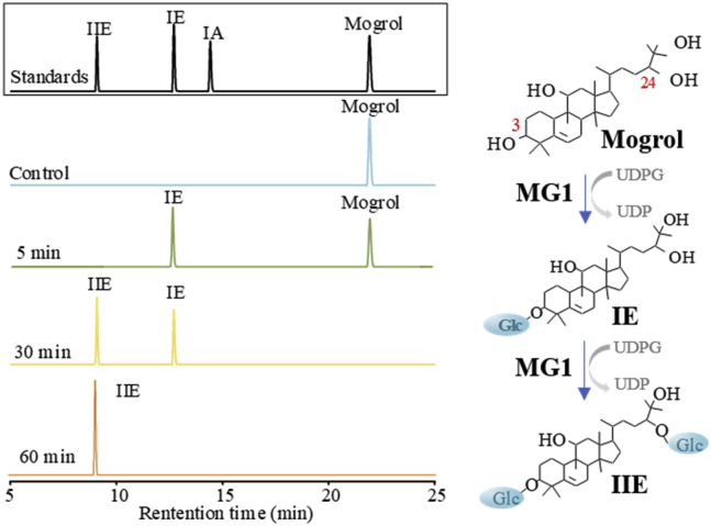 Figure 2