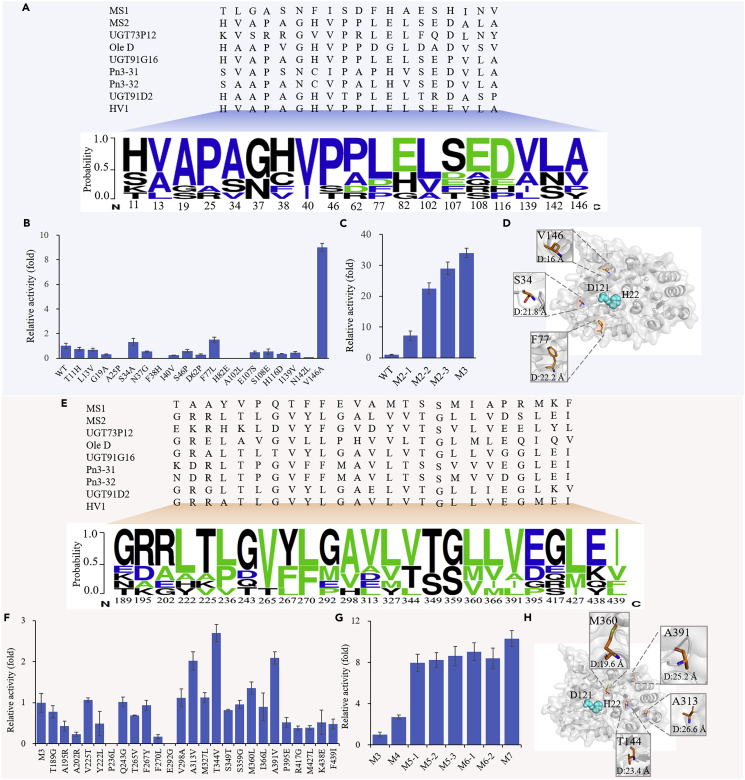 Figure 4