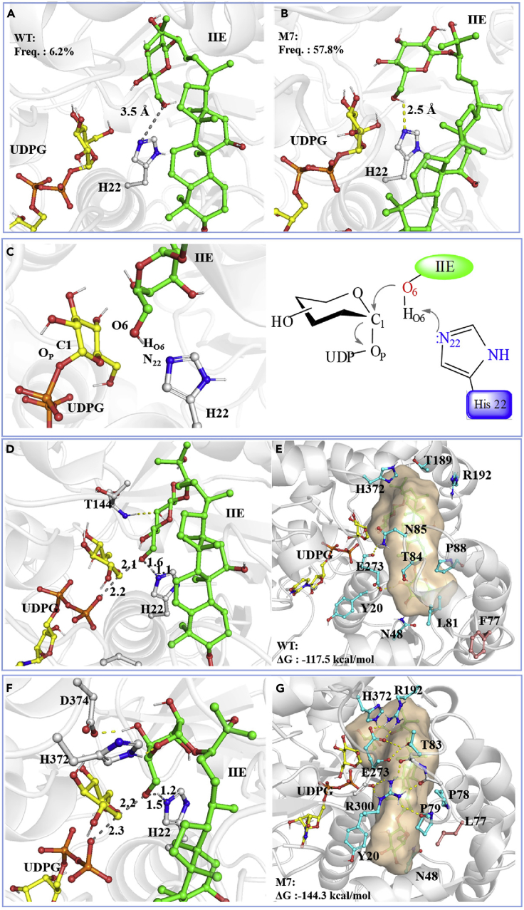 Figure 6