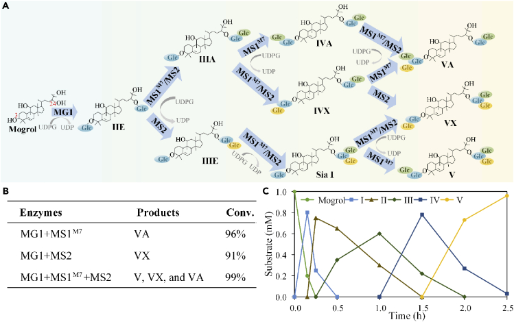 Figure 7