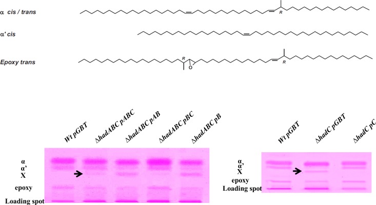 Fig 10