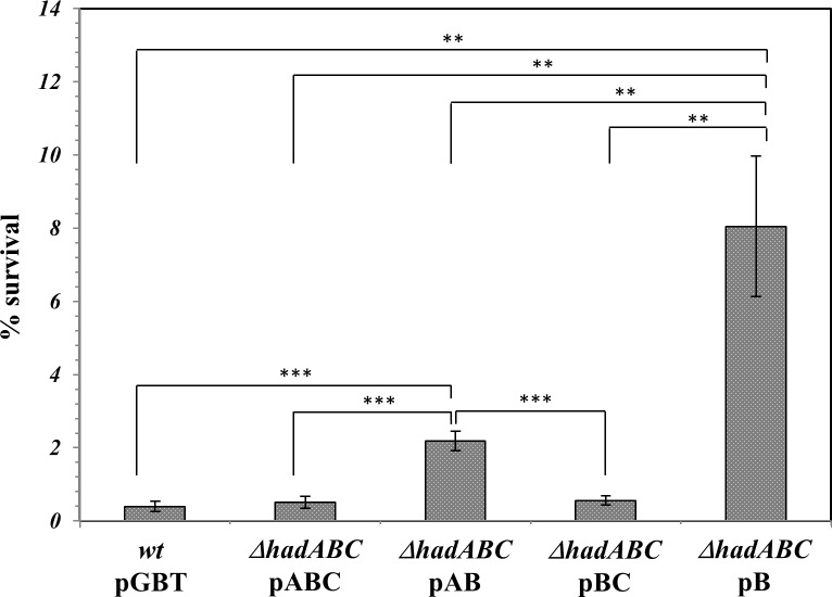 Fig 7