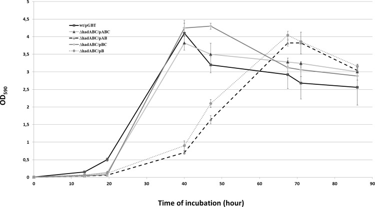 Fig 3