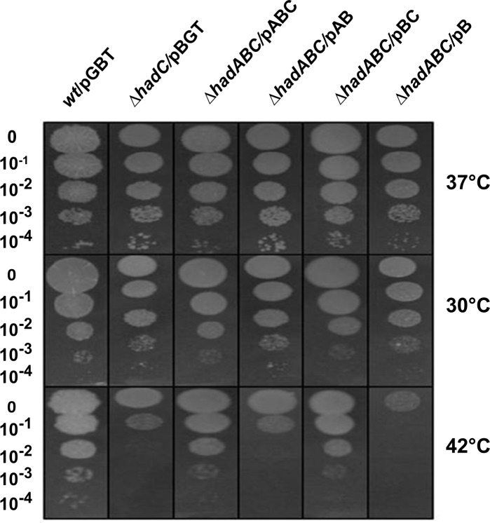 Fig 9