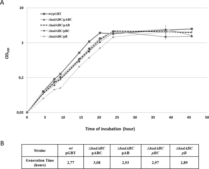 Fig 2