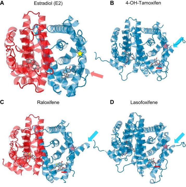 FIGURE 12.