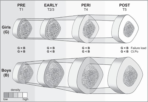 FIGURE 7.