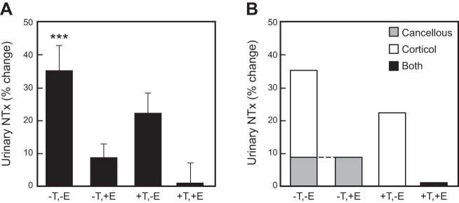 FIGURE 11.