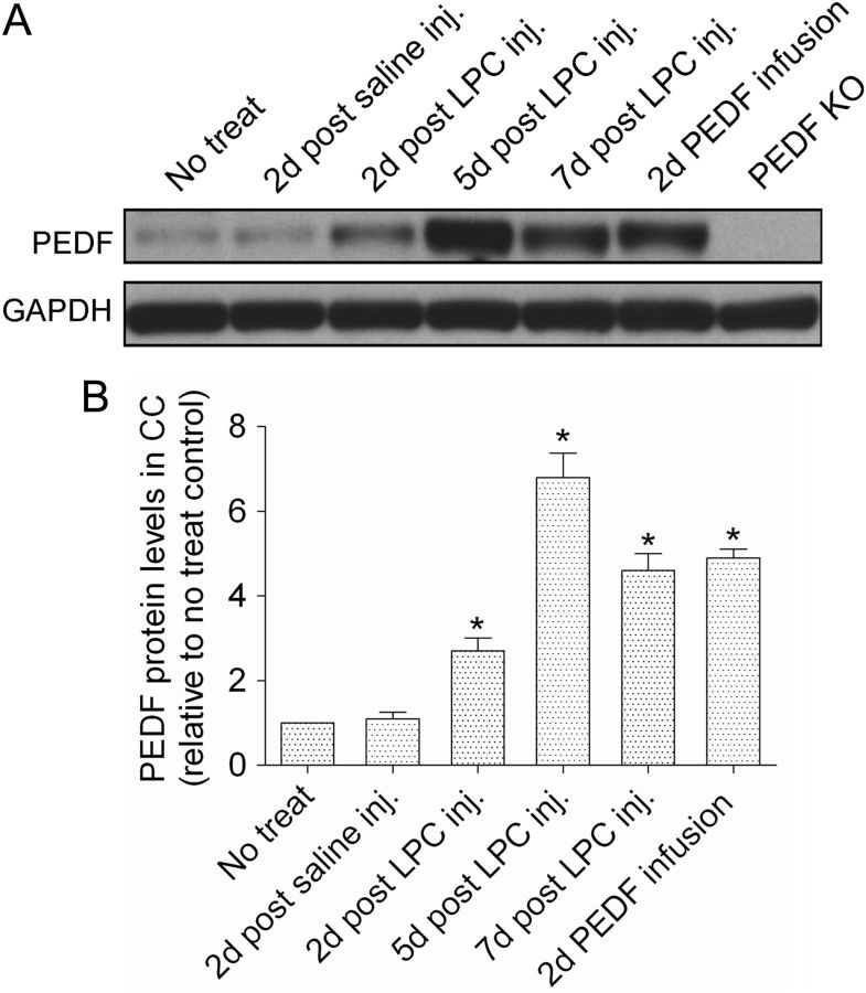 Figure 10.