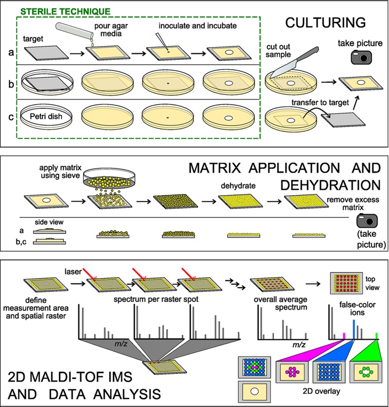 Fig 2