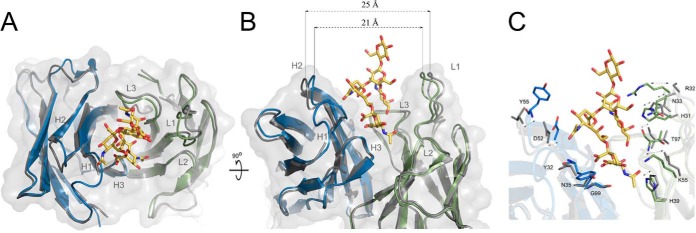 Fig. 3.