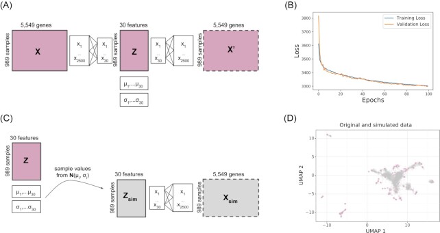 Figure 1: