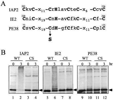 FIG. 4.