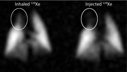 Figure 5: