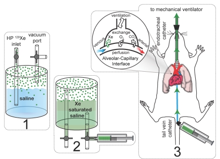 Figure 1: