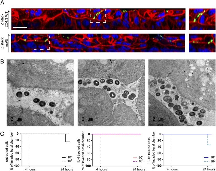 FIG 3