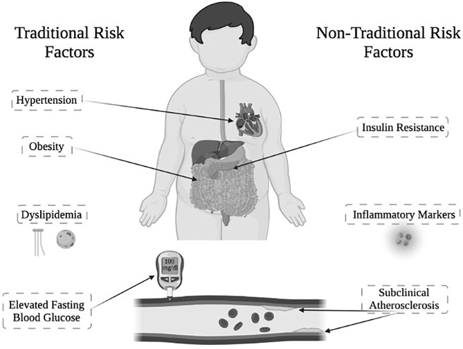 Figure 1