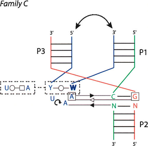 FIGURE 9.