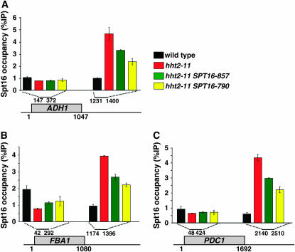 Figure 4.—