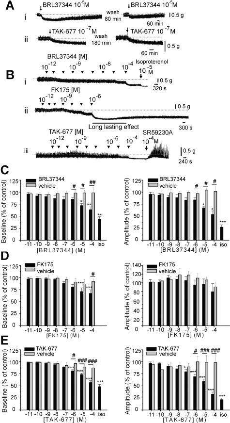 Fig. 10.