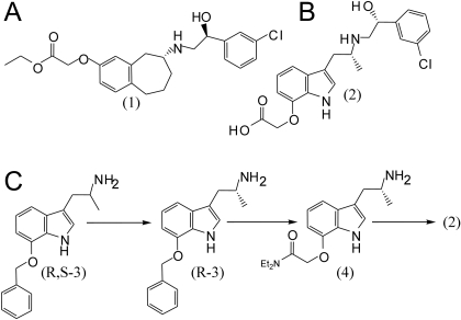 Fig. 1.