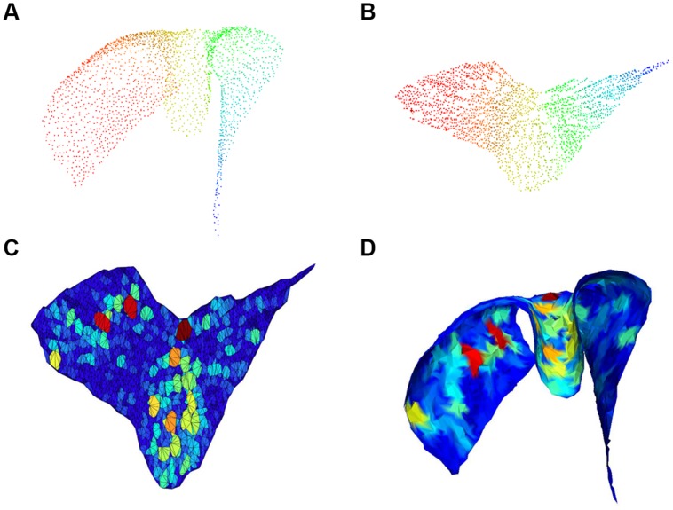 FIGURE 4