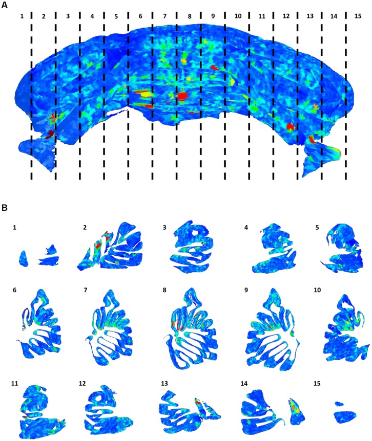 FIGURE 6