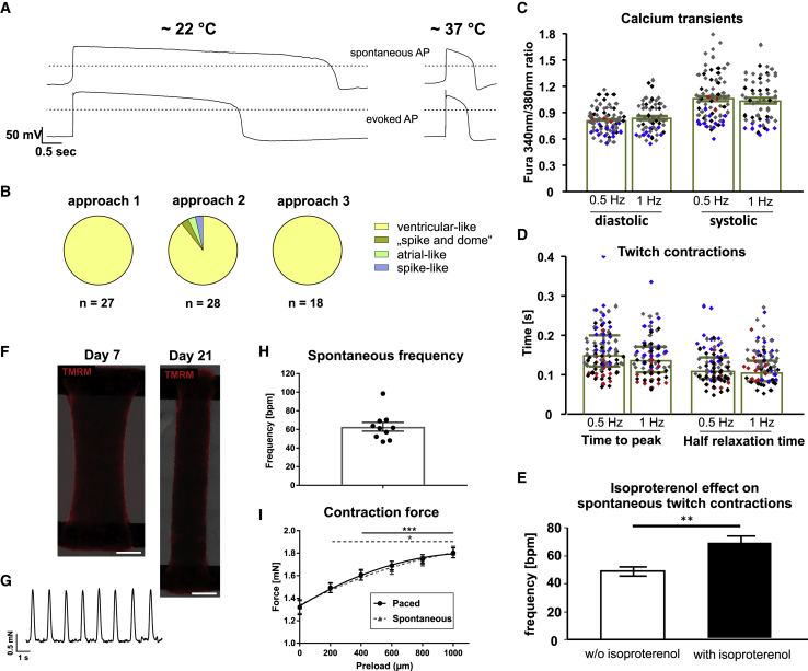 Figure 6