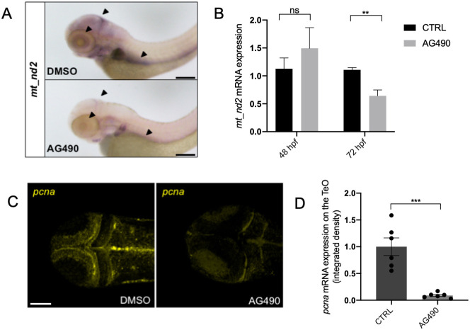 Fig. 7.