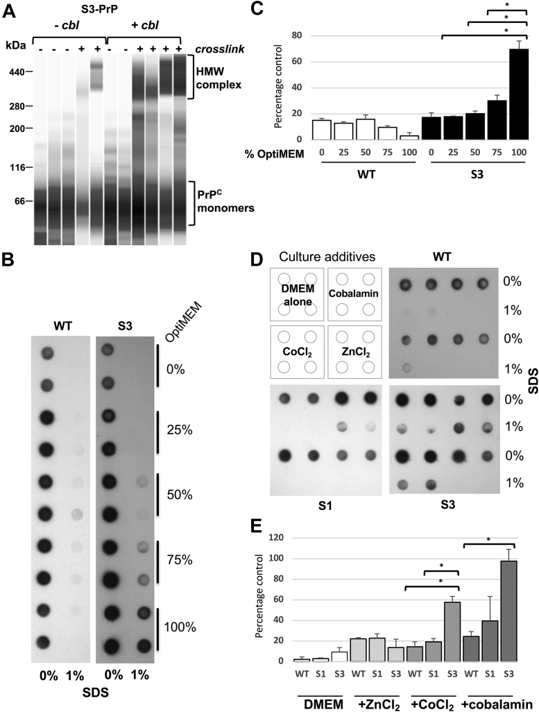 Figure 6